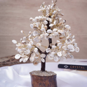 Energized Gomti Chakra Tree